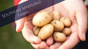 Southern Maryland Farms
