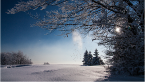 February_Southern Maryland