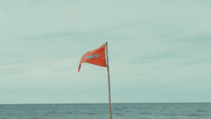 Jeff Halbert_Red Flags