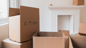 Jeff Halbert_Proper Etiquette