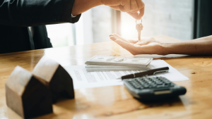 Jeff Halbert_is jumbo for you