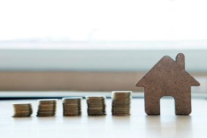 JH_House for improving taxes